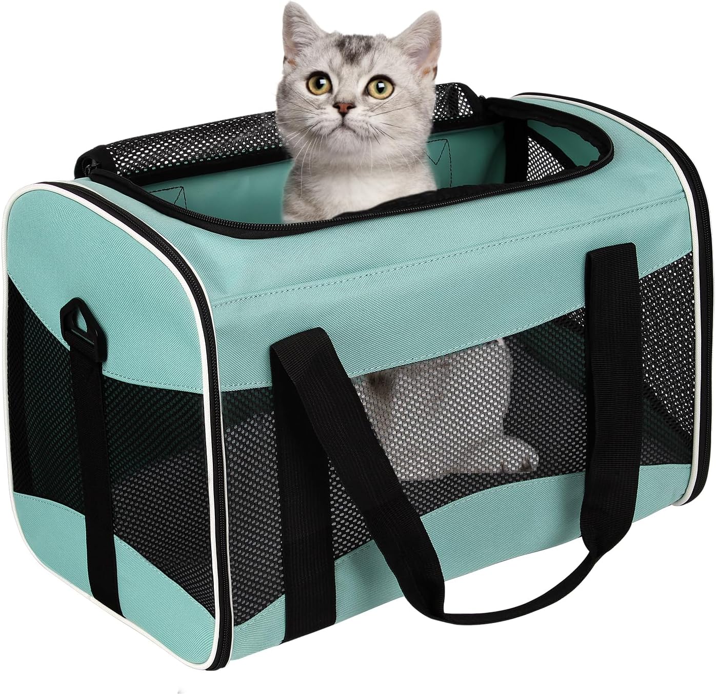Soft-Sided Collapsible Cat Dog Carrier