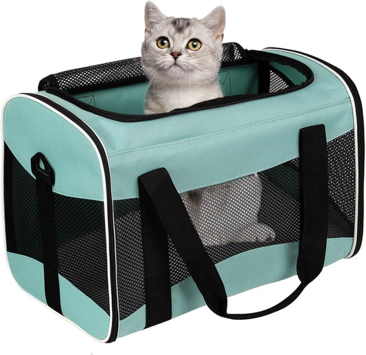 Soft-Sided Collapsible Cat Dog Carrier