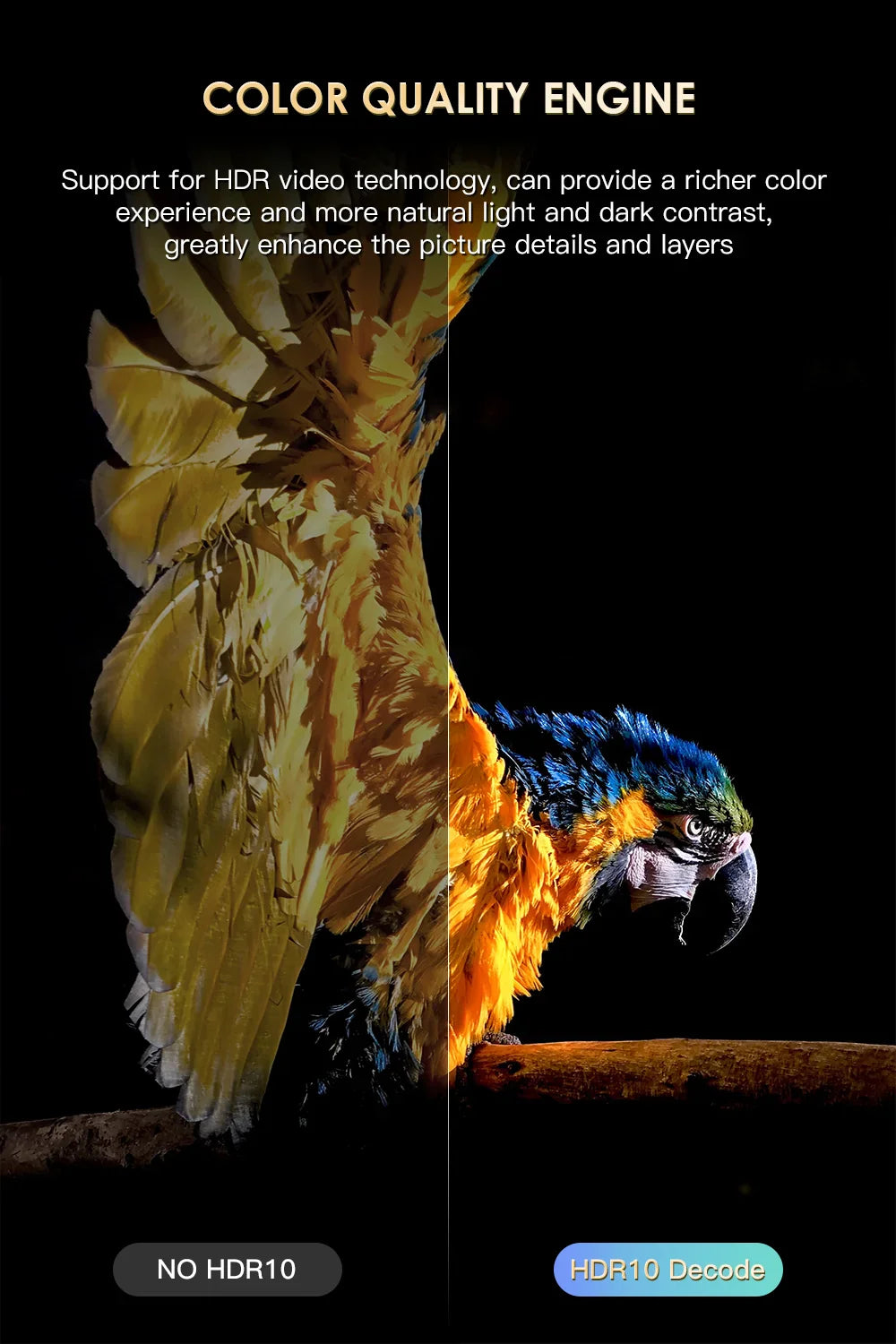 HONGTOP H20PRO Smart TV Box WiFi6 Android 10 6K 4K 3D Media Player TV Box Android 2.4G&5G WIFI Very Fast 1080P Set Top Box